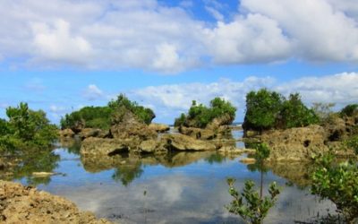 Minasangay Eco Park and Resort